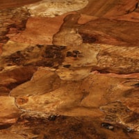 detail image
